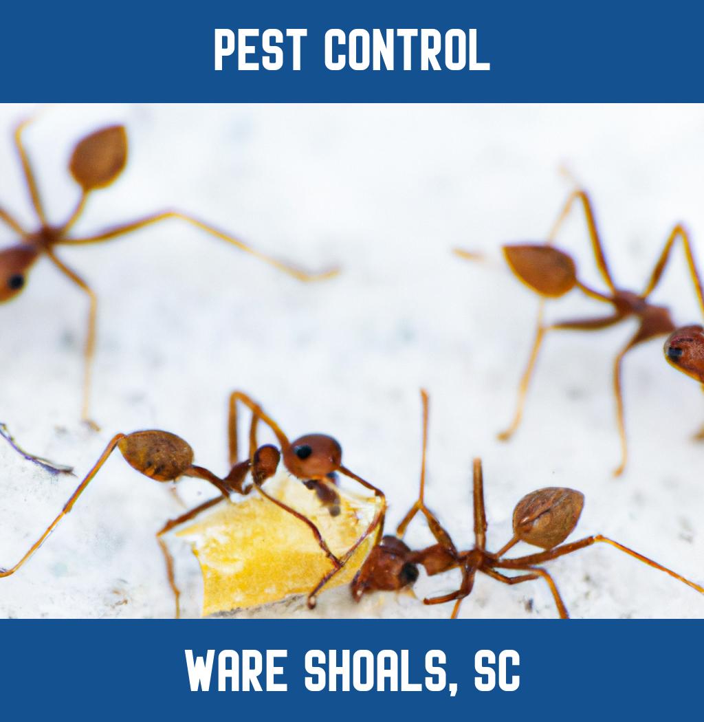pest control in Ware Shoals South Carolina
