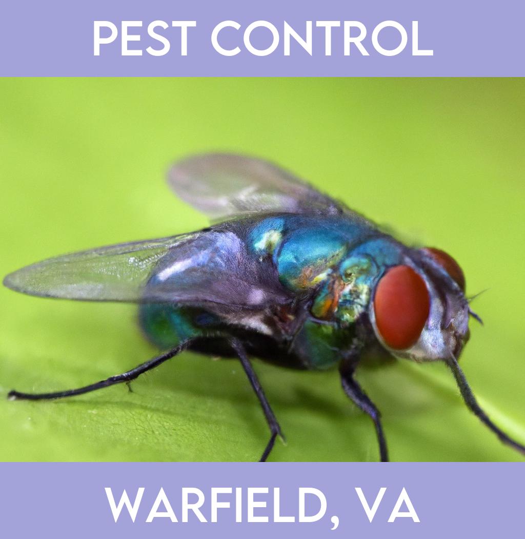 pest control in Warfield Virginia