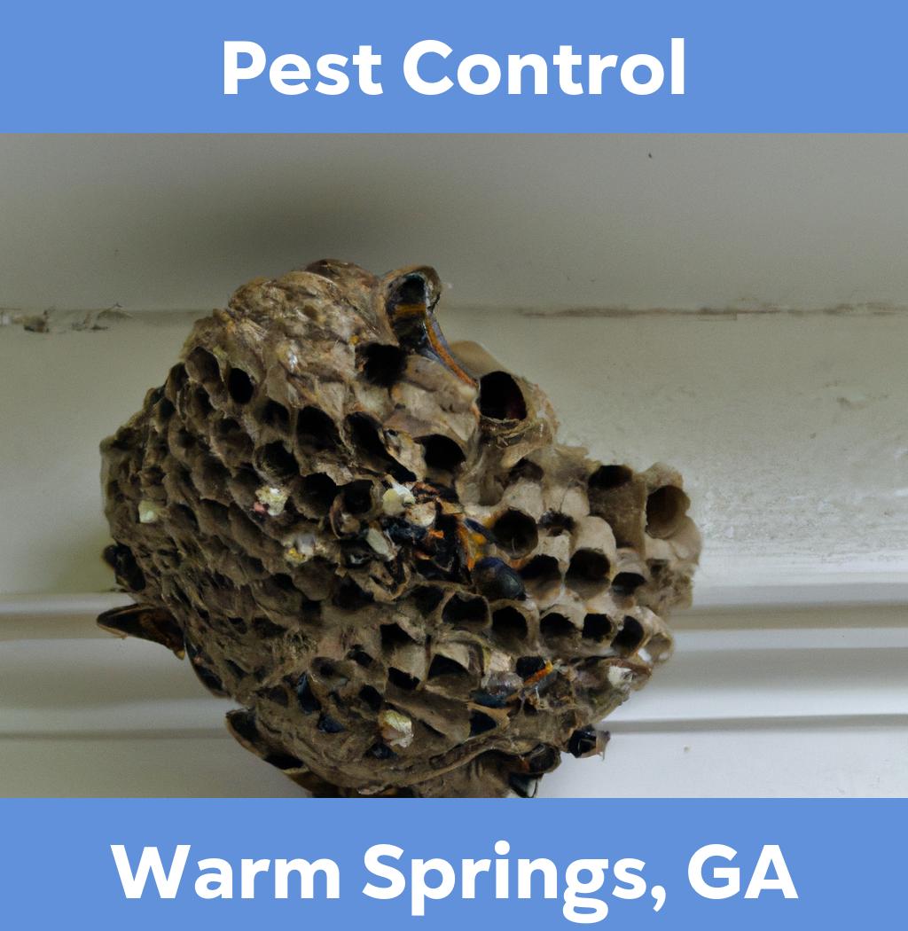 pest control in Warm Springs Georgia