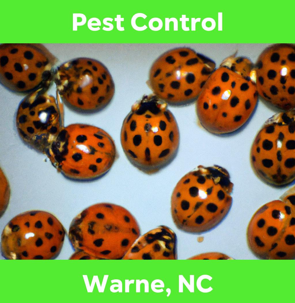 pest control in Warne North Carolina