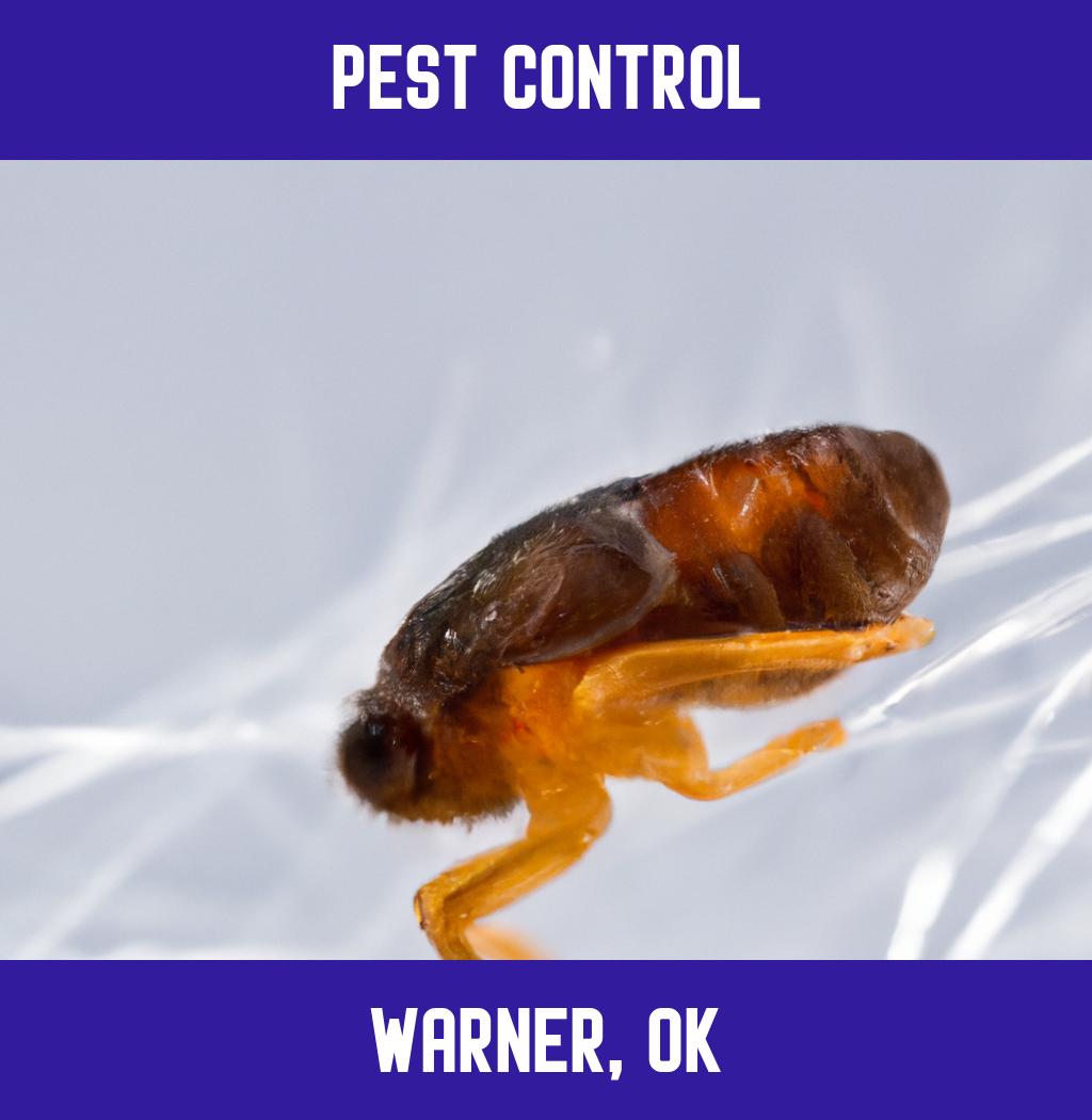 pest control in Warner Oklahoma