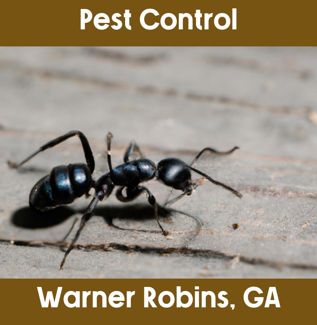 pest control in Warner Robins Georgia