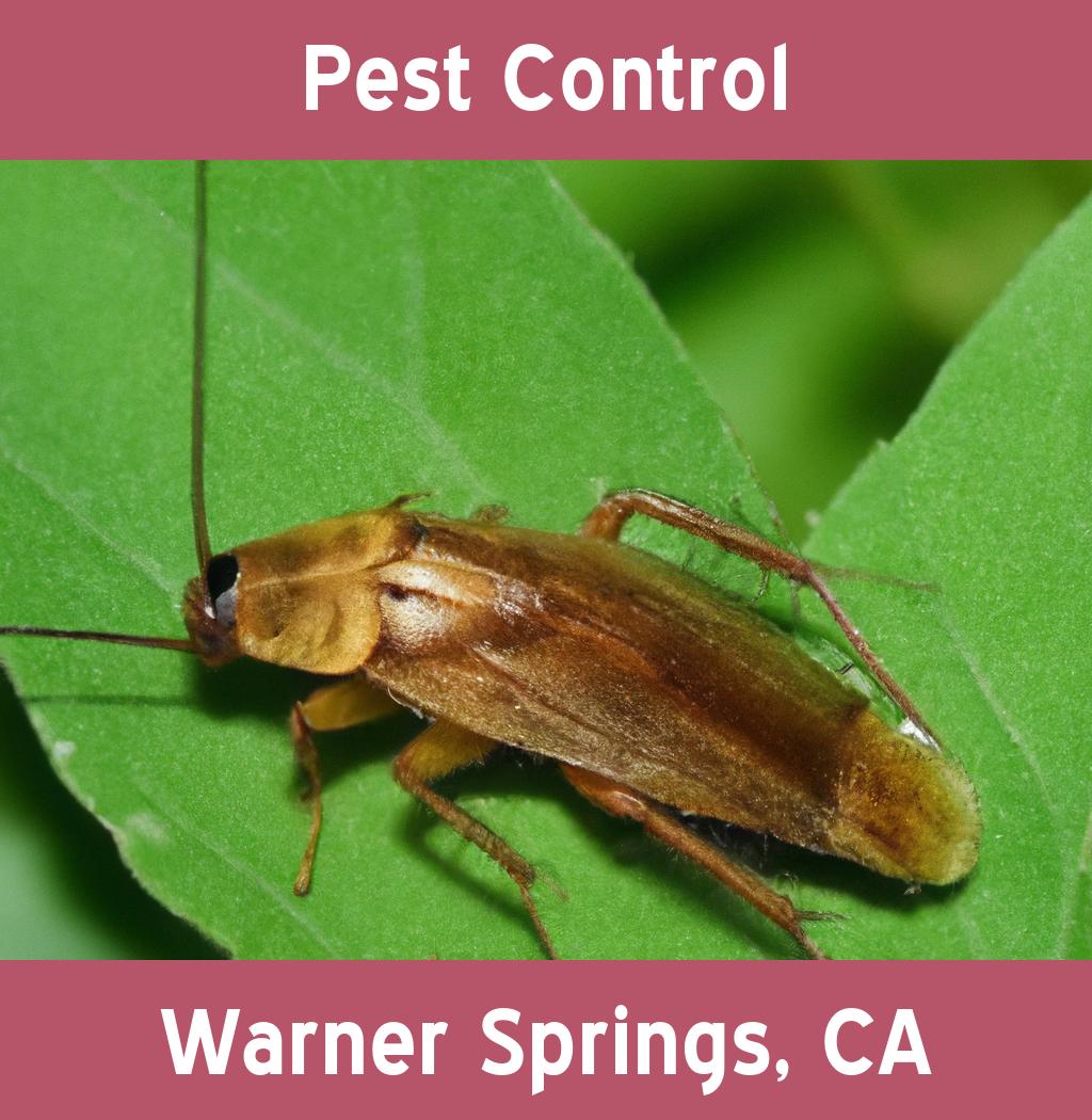 pest control in Warner Springs California