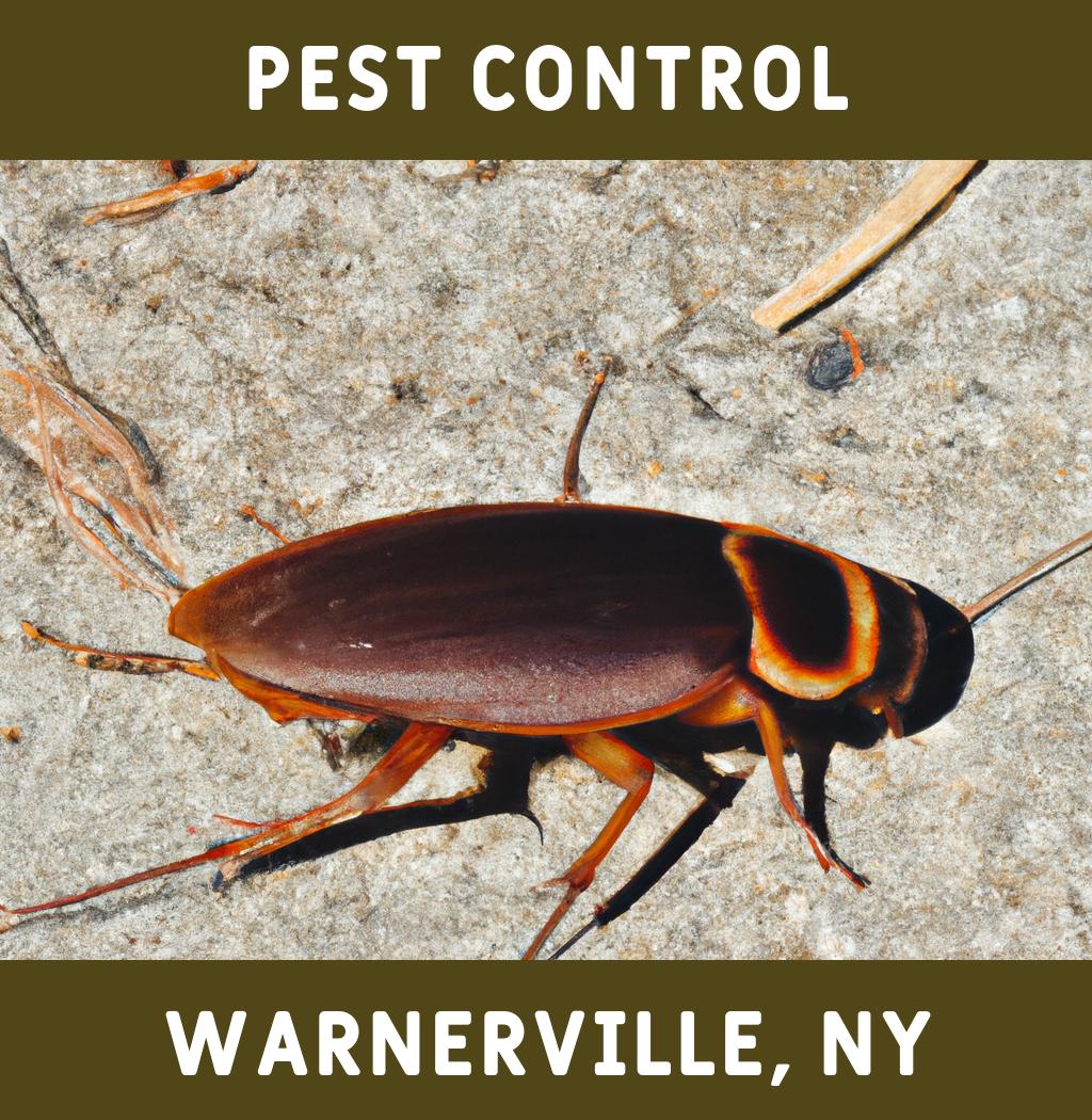 pest control in Warnerville New York