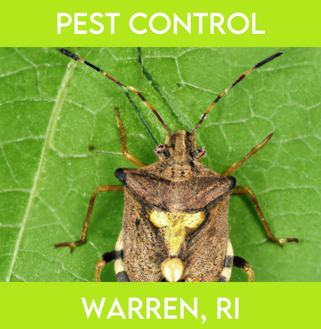pest control in Warren Rhode Island