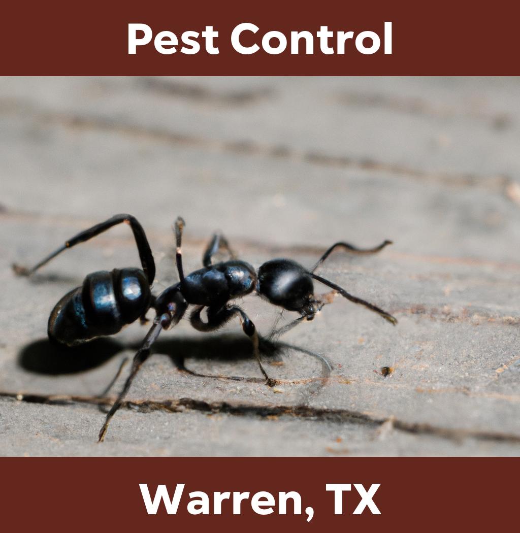 pest control in Warren Texas