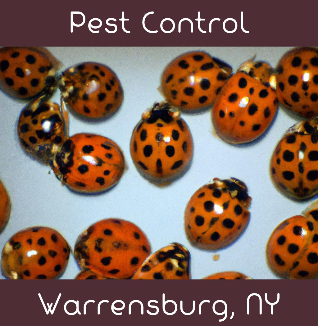 pest control in Warrensburg New York