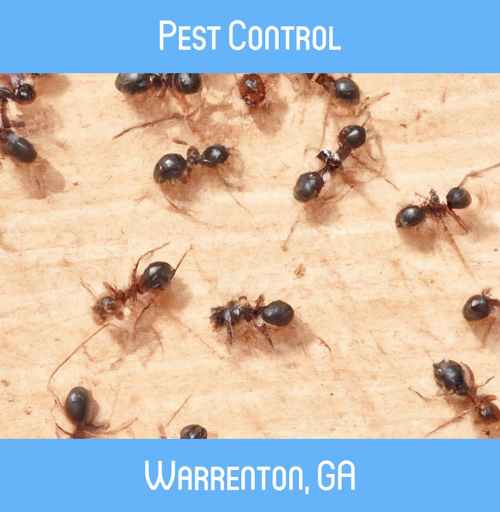 pest control in Warrenton Georgia
