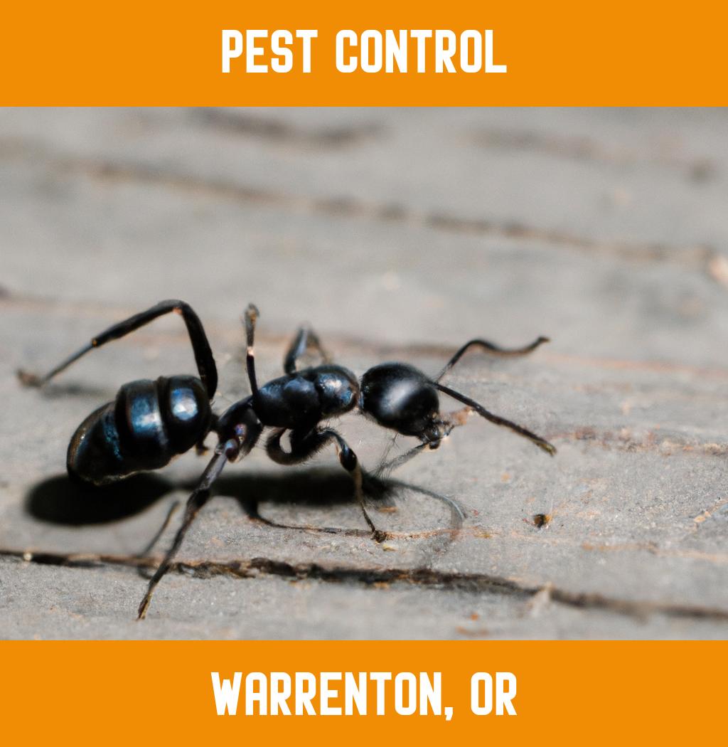 pest control in Warrenton Oregon