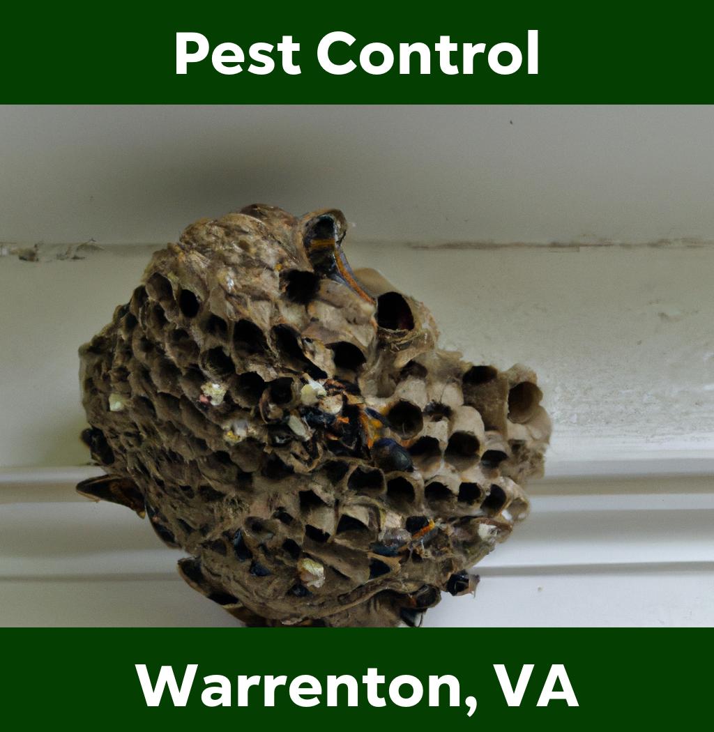 pest control in Warrenton Virginia