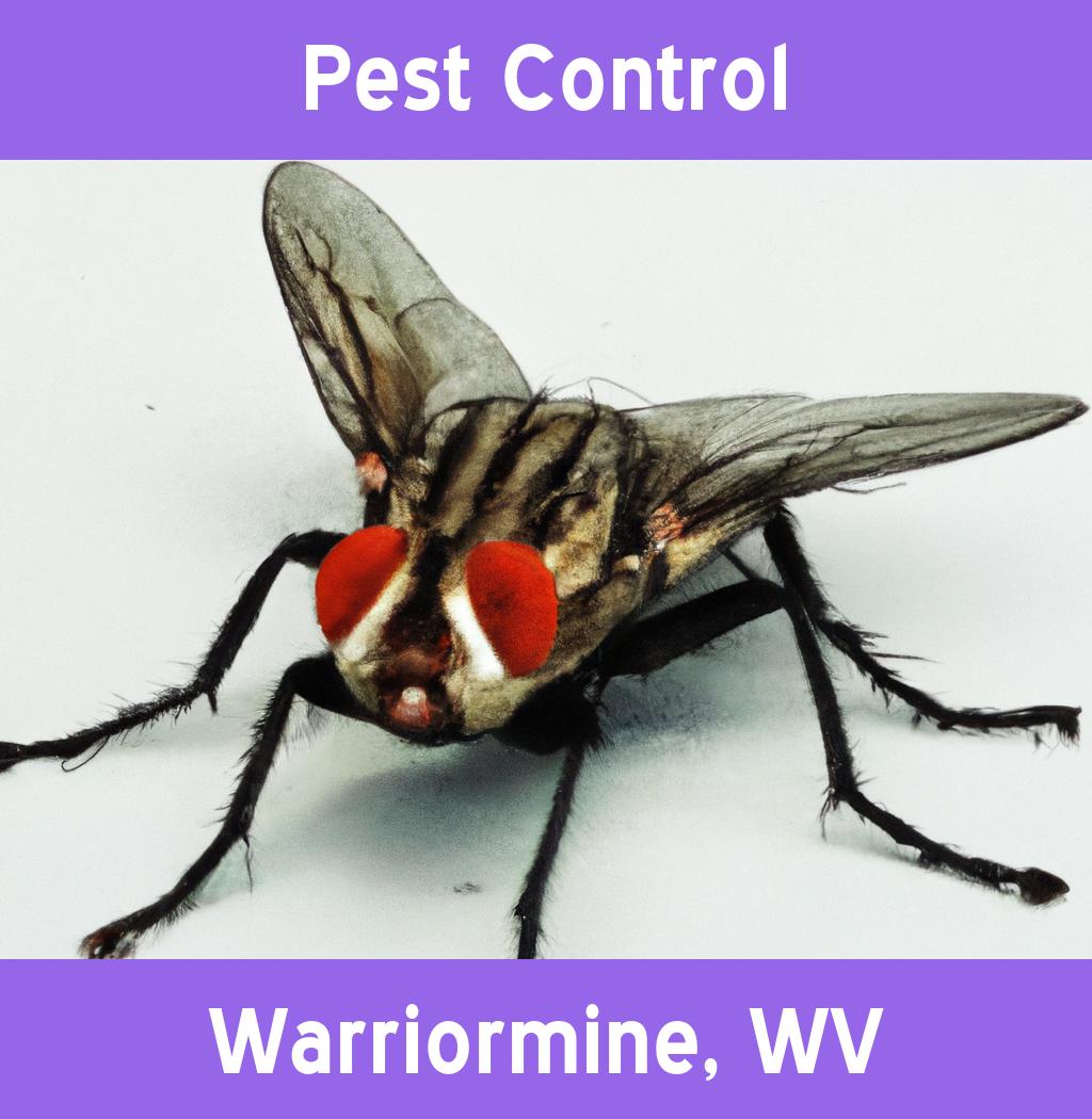 pest control in Warriormine West Virginia