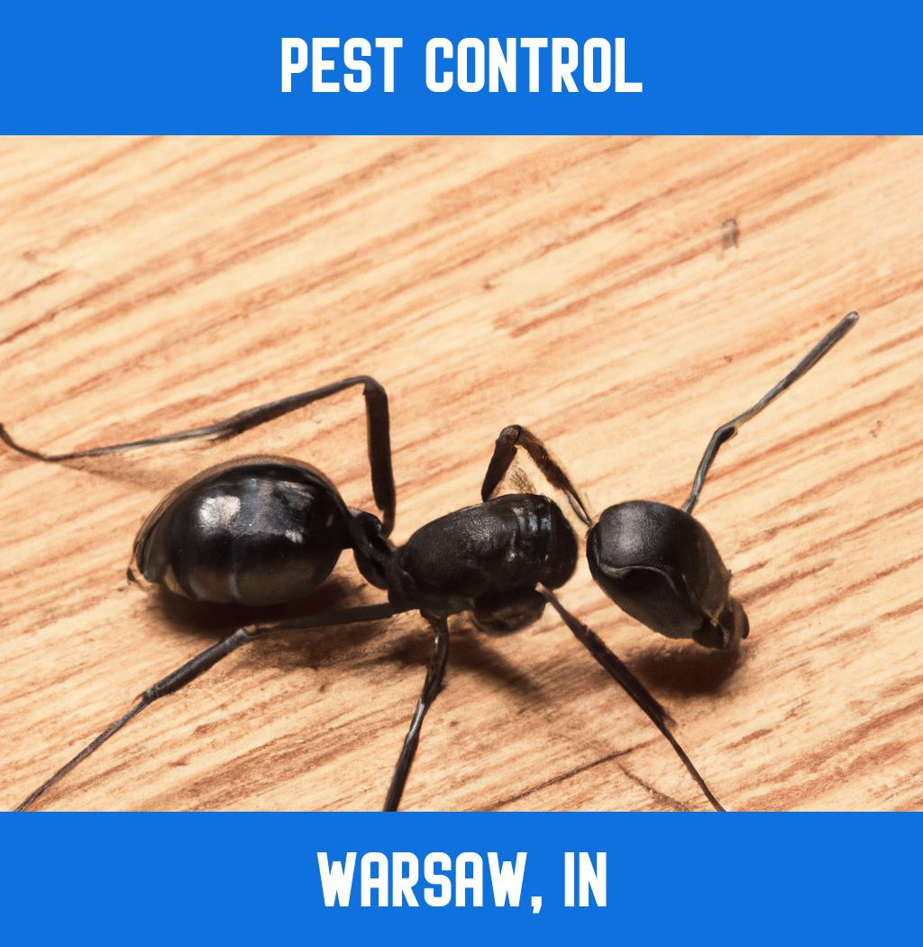 pest control in Warsaw Indiana