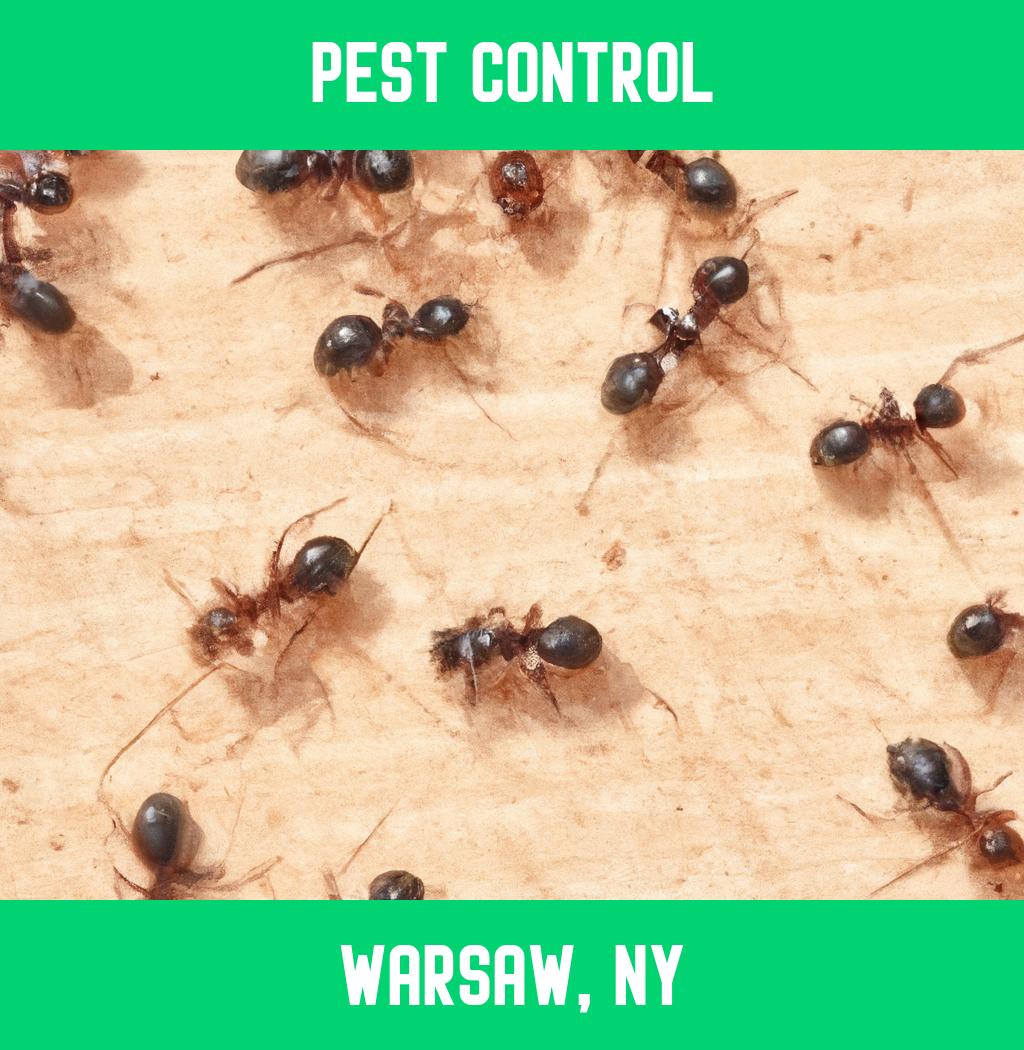 pest control in Warsaw New York