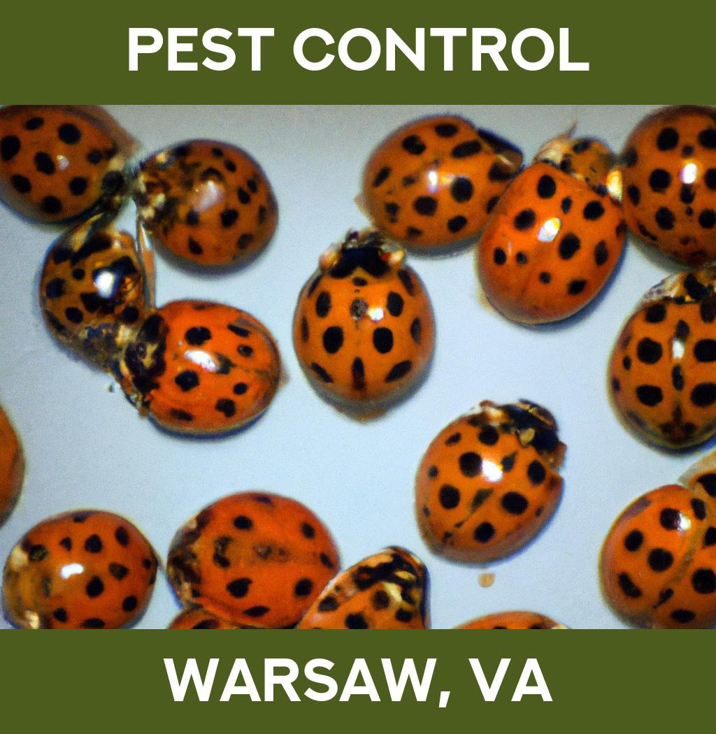 pest control in Warsaw Virginia