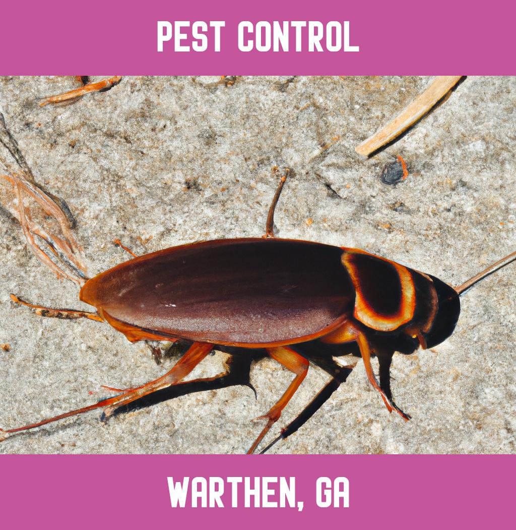 pest control in Warthen Georgia