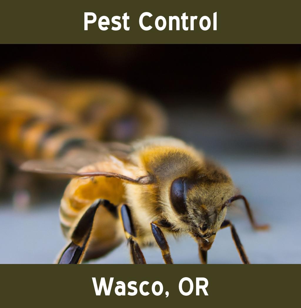 pest control in Wasco Oregon