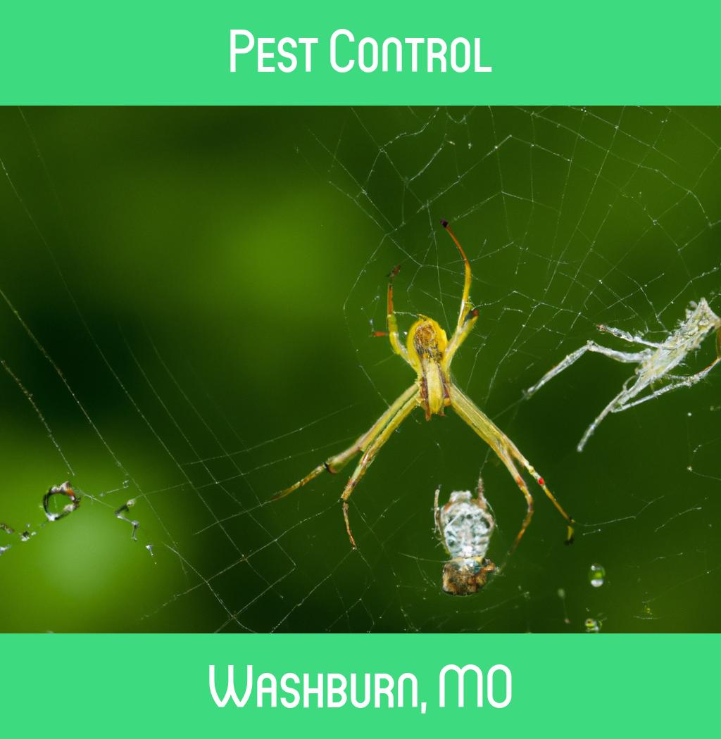 pest control in Washburn Missouri