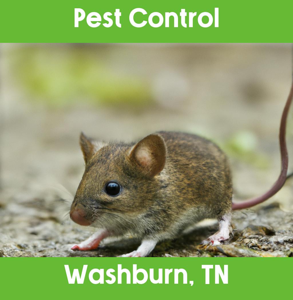 pest control in Washburn Tennessee