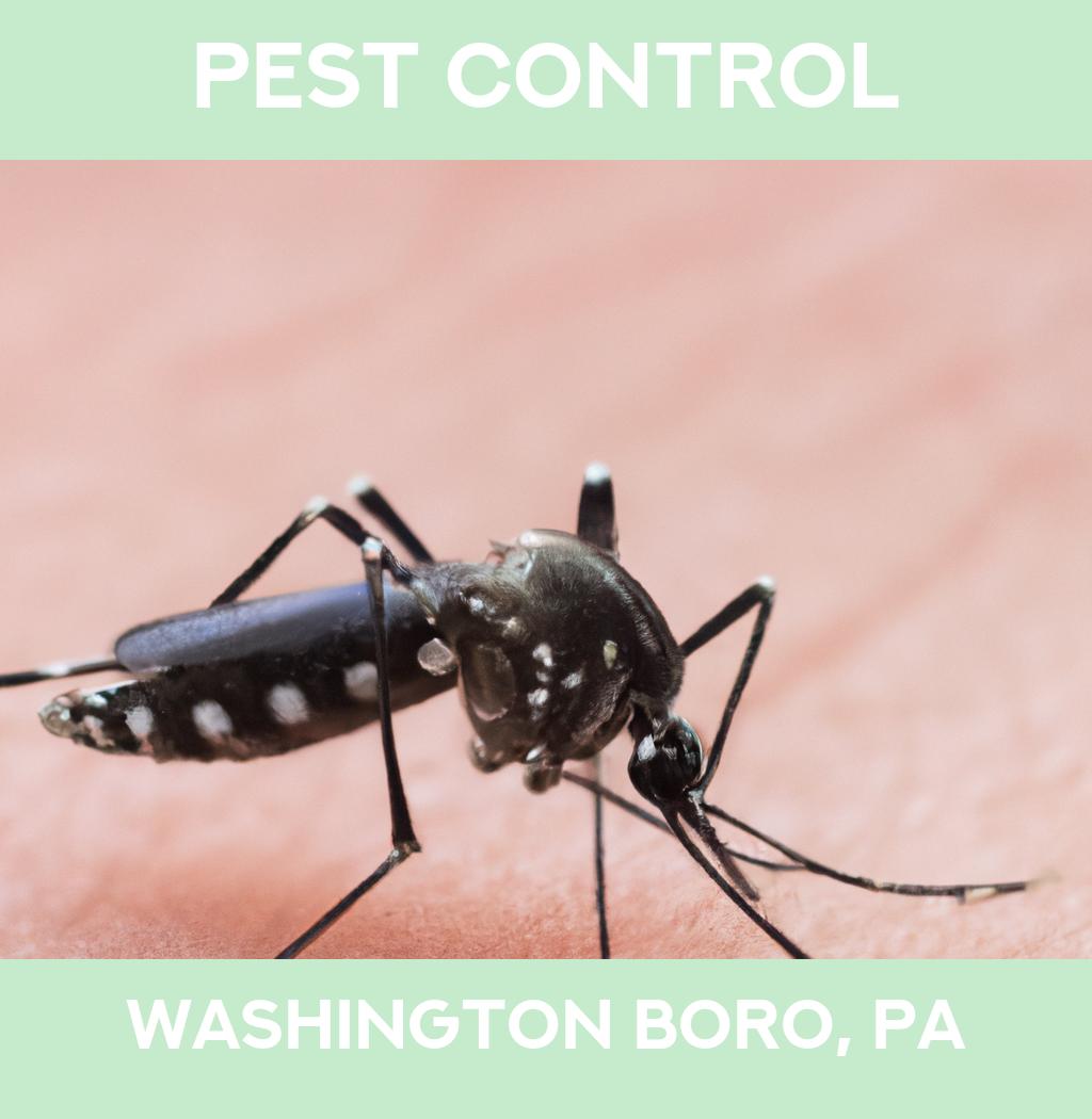 pest control in Washington Boro Pennsylvania