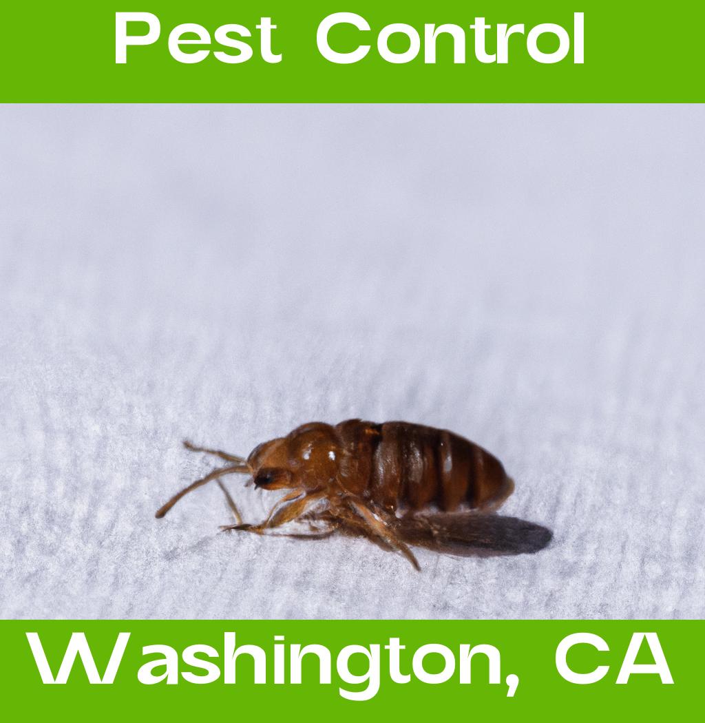 pest control in Washington California
