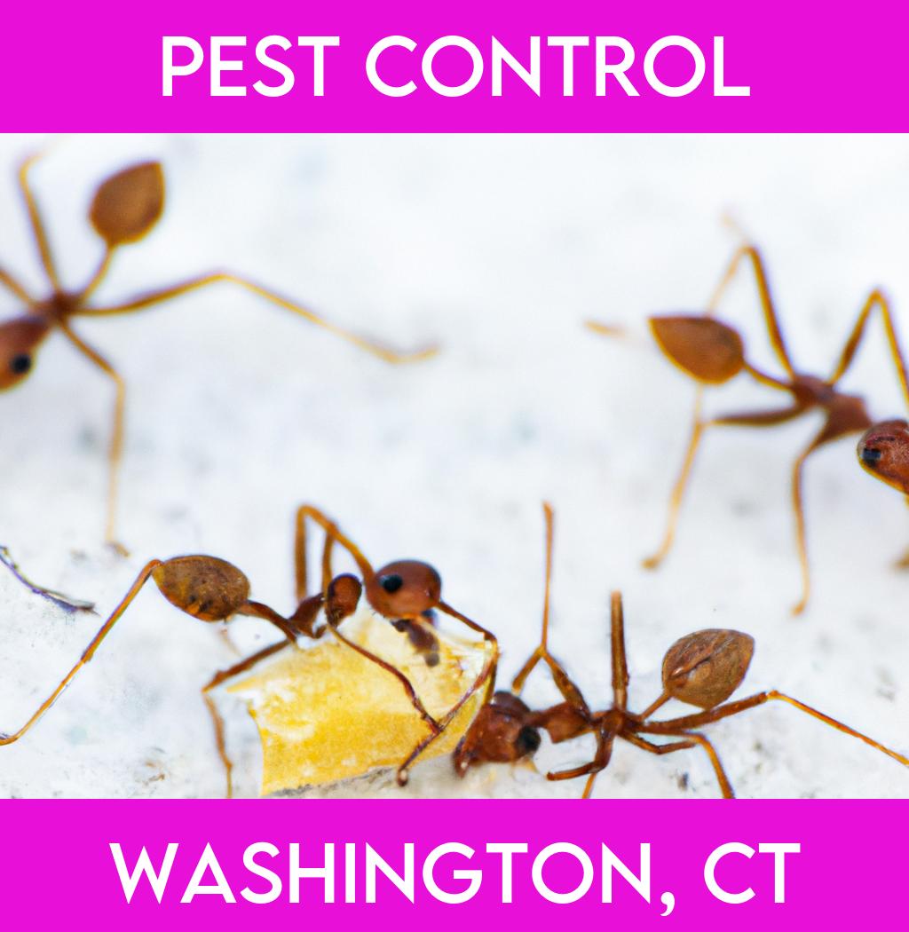 pest control in Washington Connecticut