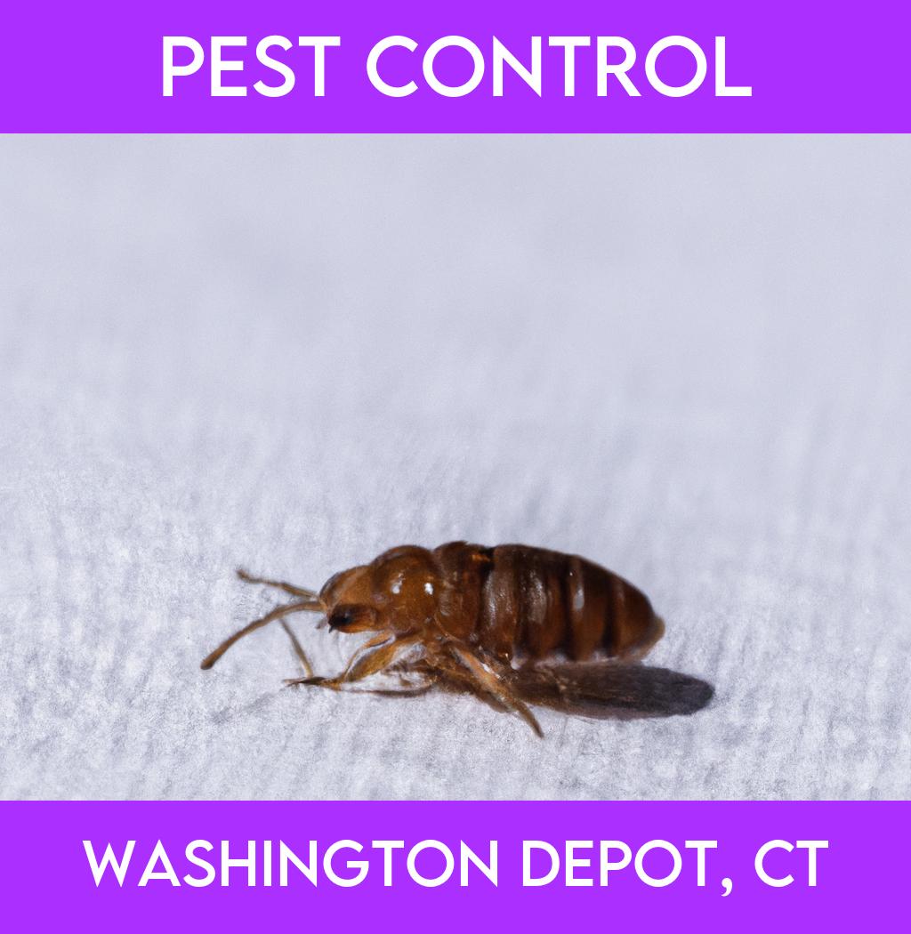 pest control in Washington Depot Connecticut