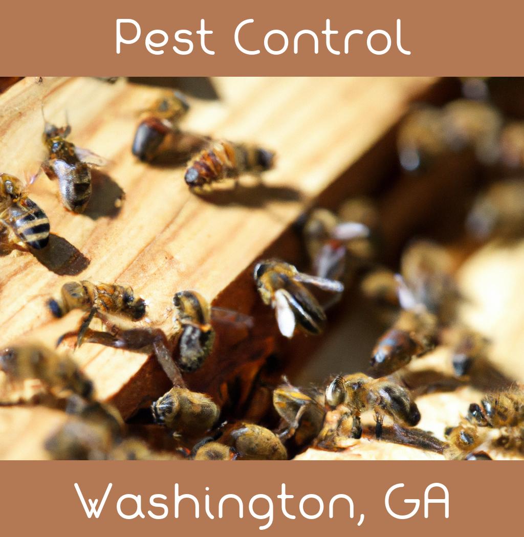 pest control in Washington Georgia