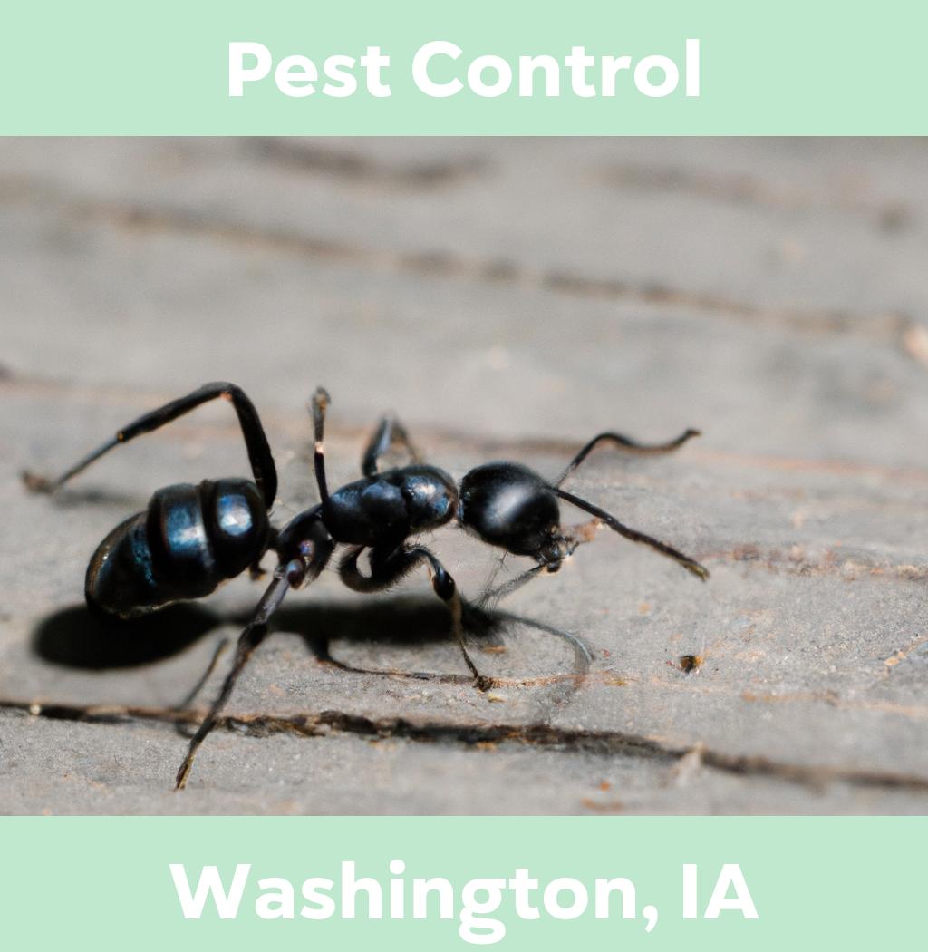 pest control in Washington Iowa