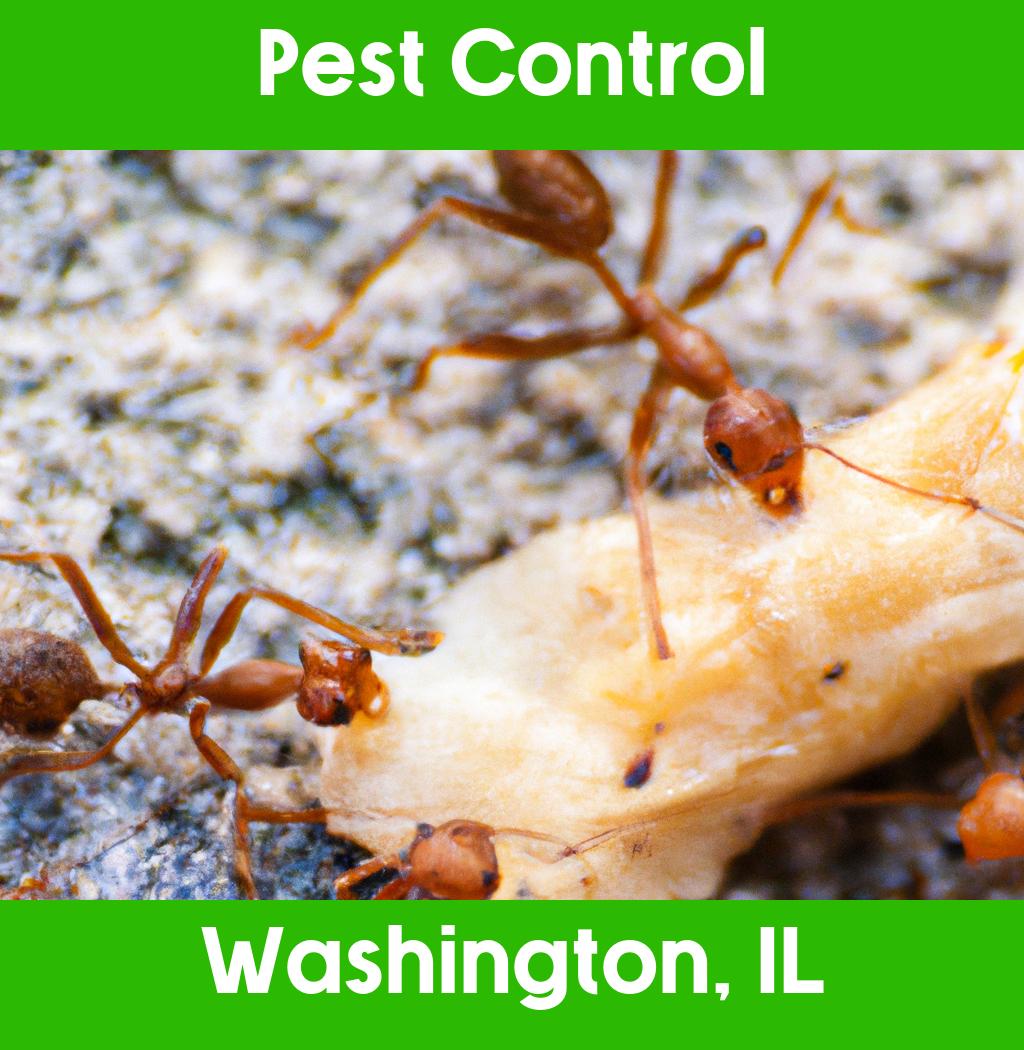 pest control in Washington Illinois