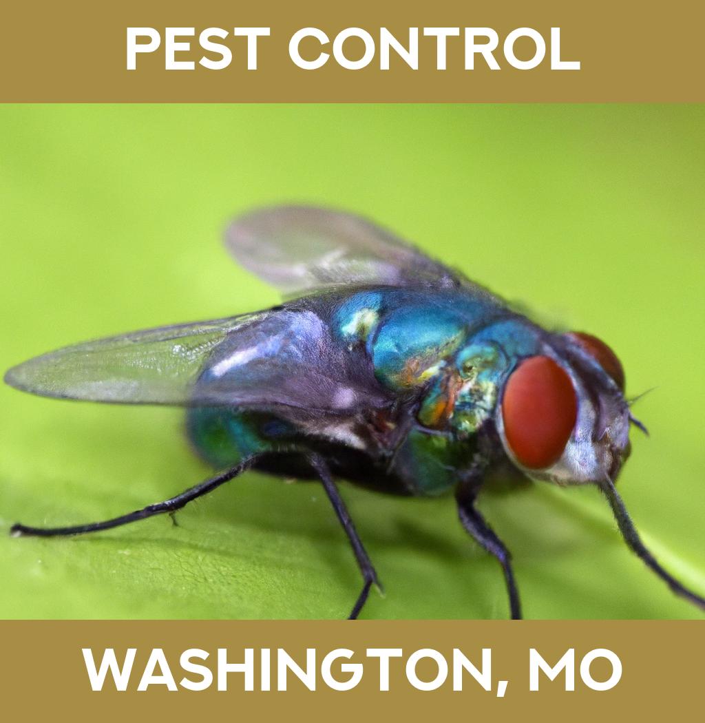 pest control in Washington Missouri