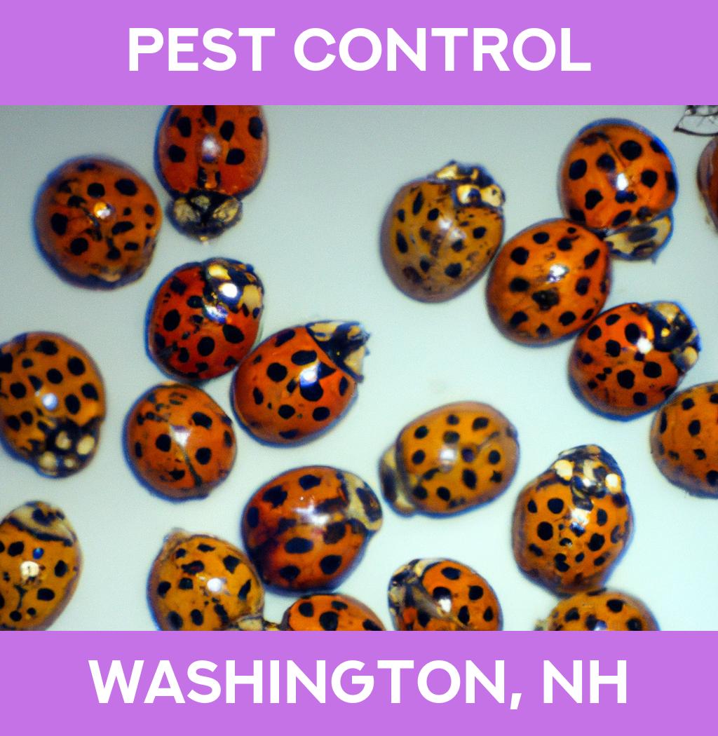 pest control in Washington New Hampshire