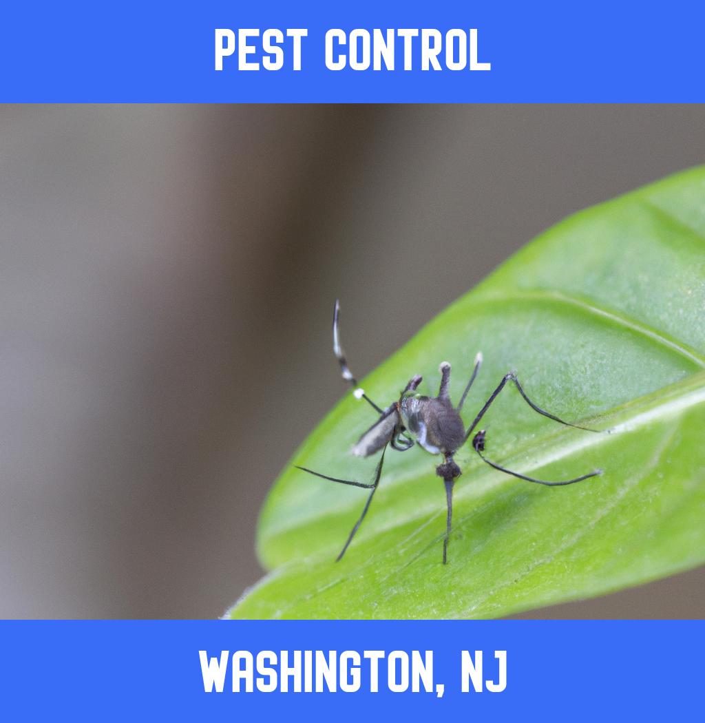 pest control in Washington New Jersey
