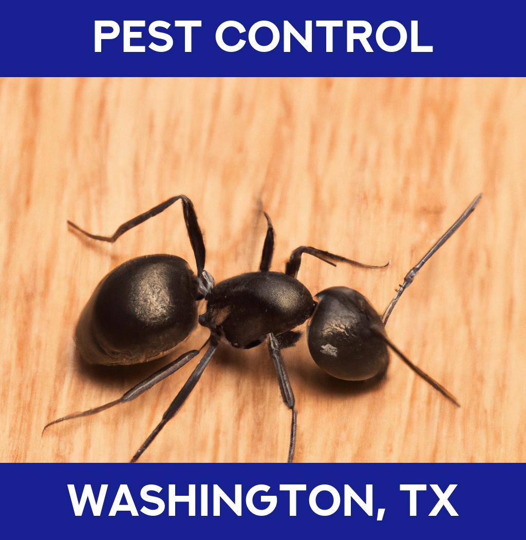 pest control in Washington Texas