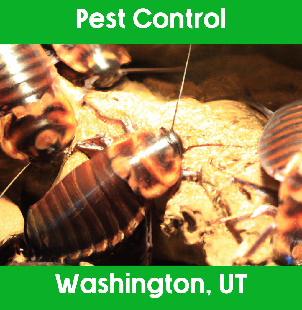 pest control in Washington Utah