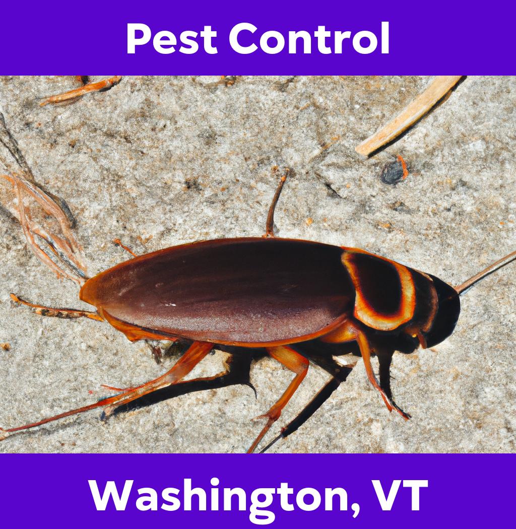 pest control in Washington Vermont