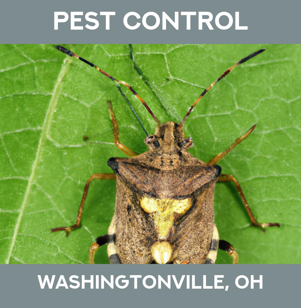 pest control in Washingtonville Ohio