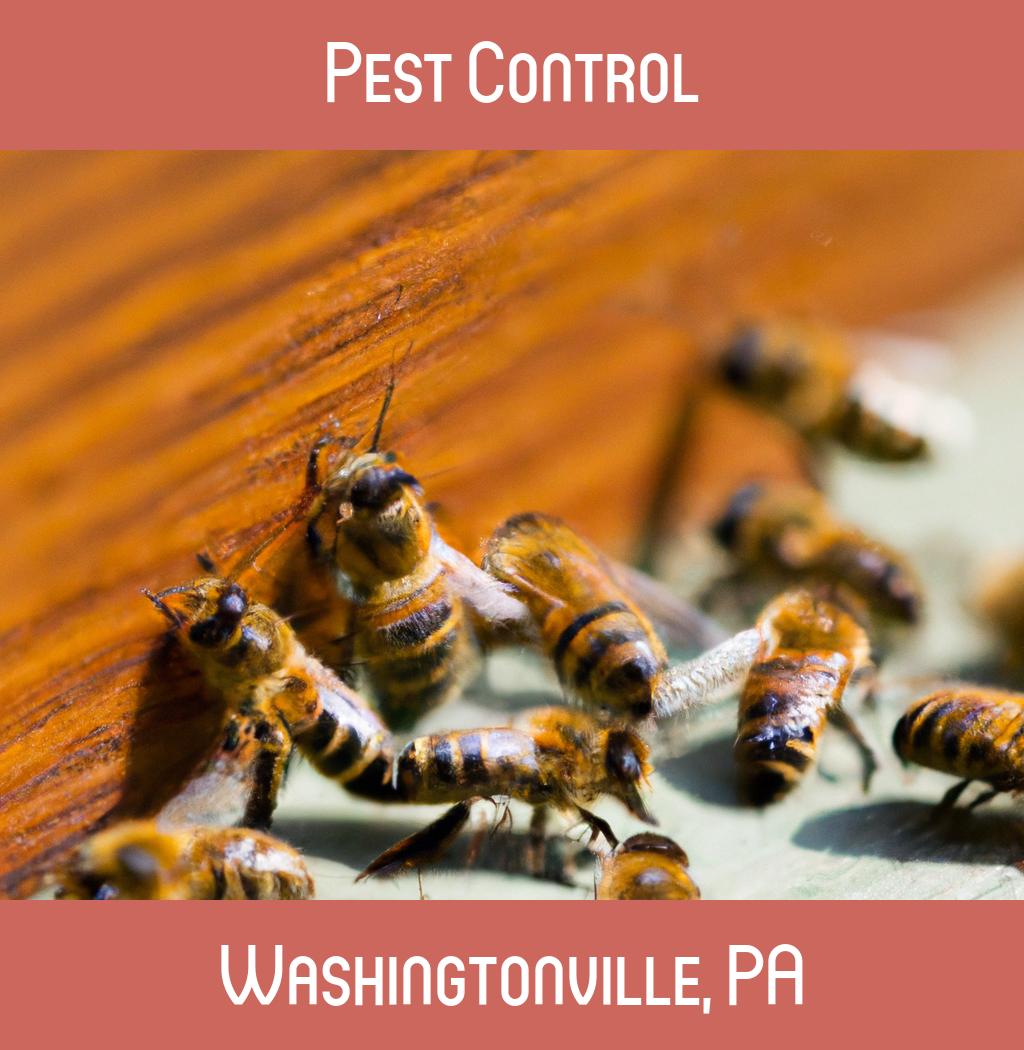 pest control in Washingtonville Pennsylvania