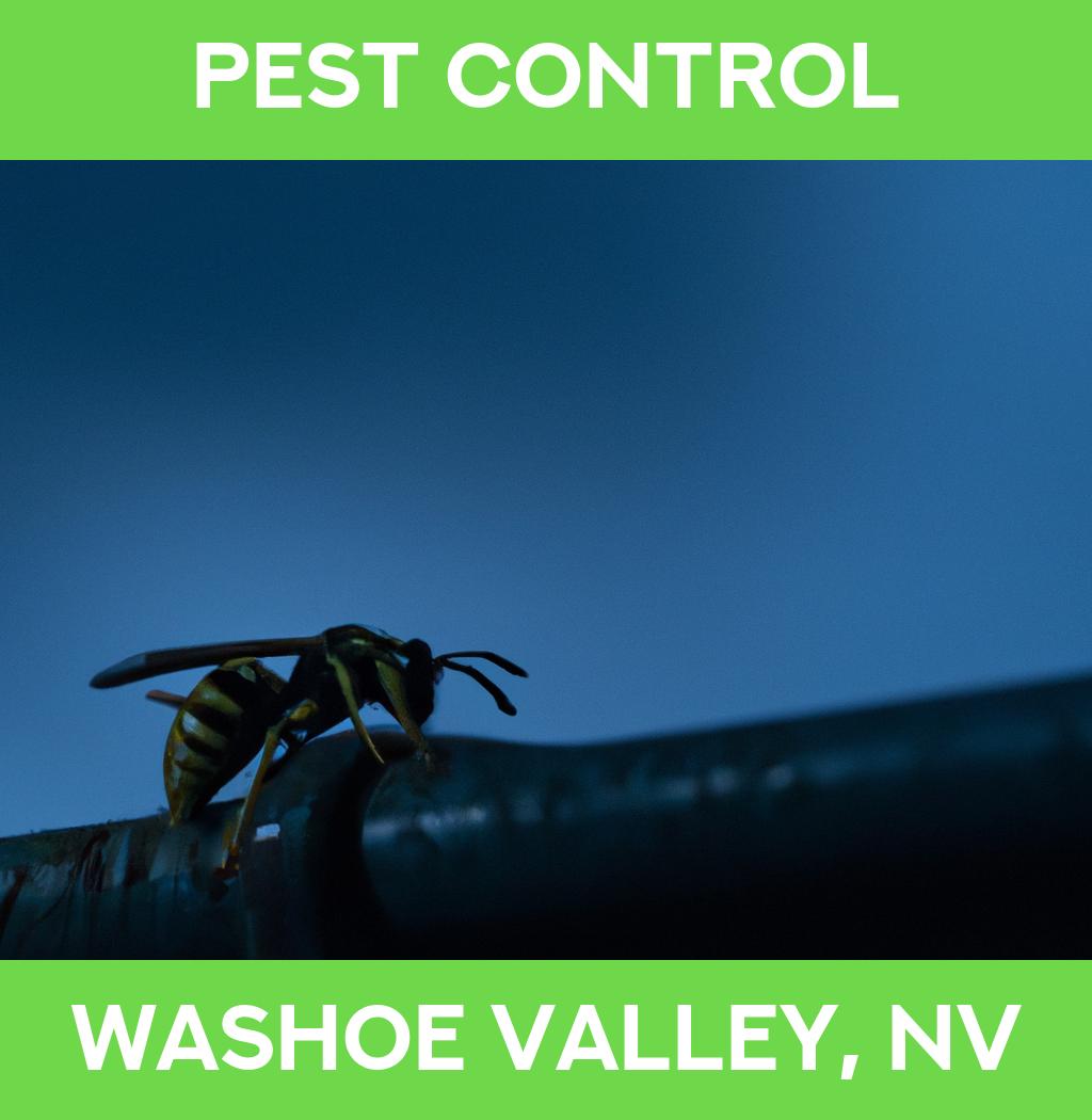 pest control in Washoe Valley Nevada
