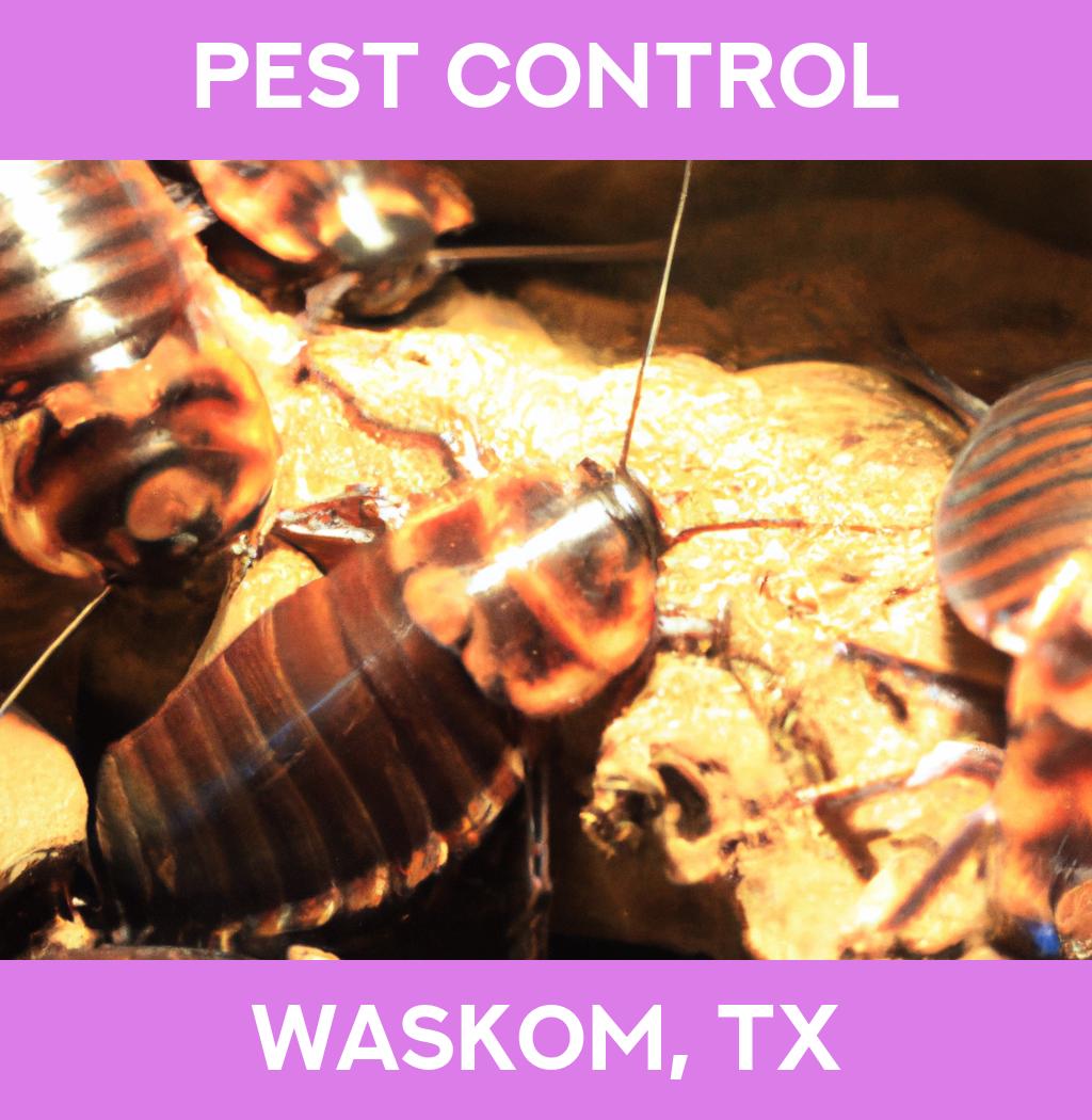 pest control in Waskom Texas