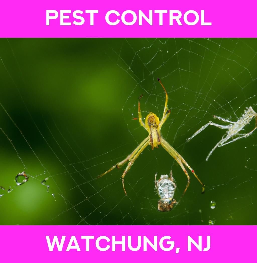 pest control in Watchung New Jersey