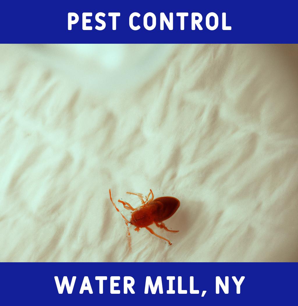 pest control in Water Mill New York