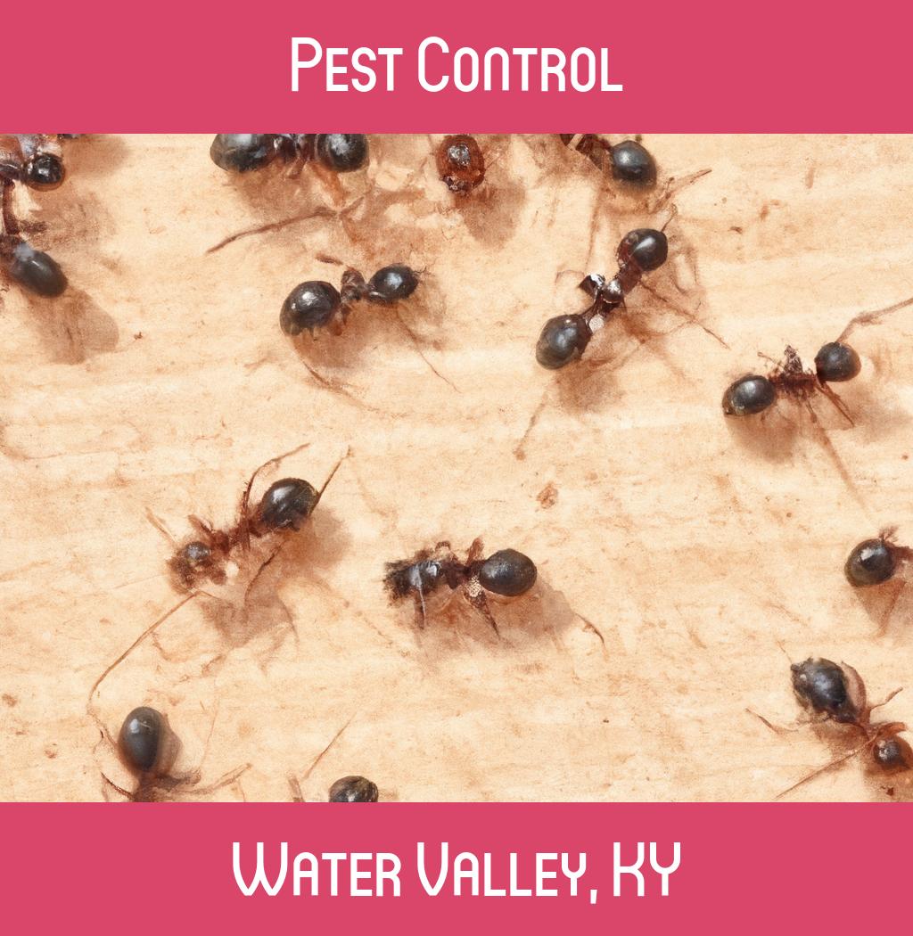 pest control in Water Valley Kentucky