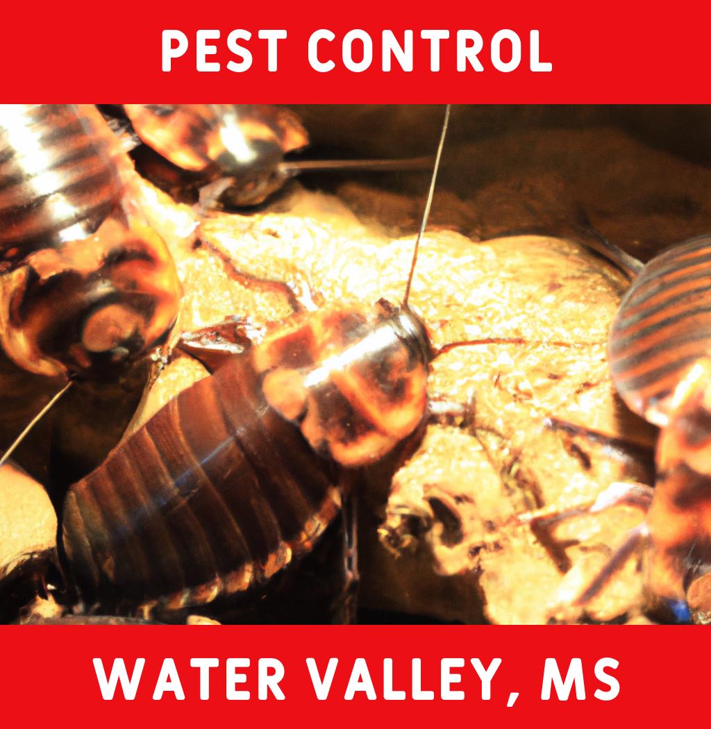 pest control in Water Valley Mississippi
