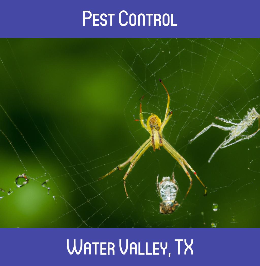 pest control in Water Valley Texas