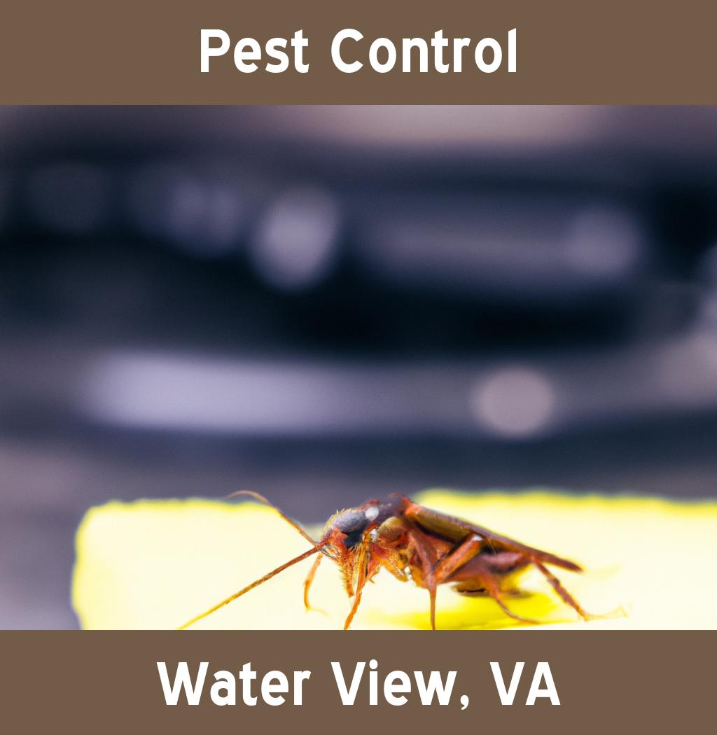 pest control in Water View Virginia