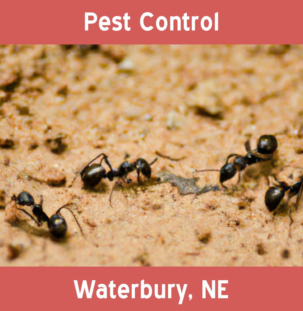 pest control in Waterbury Nebraska