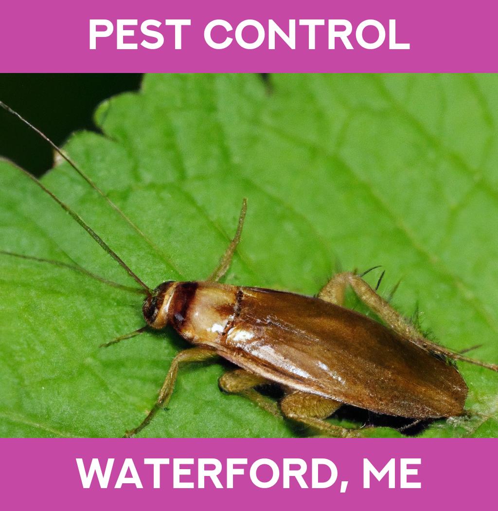 pest control in Waterford Maine