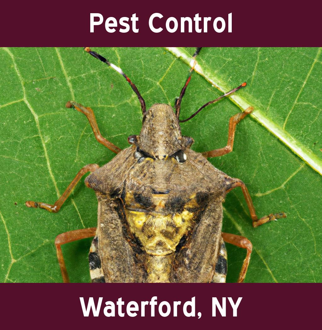 pest control in Waterford New York