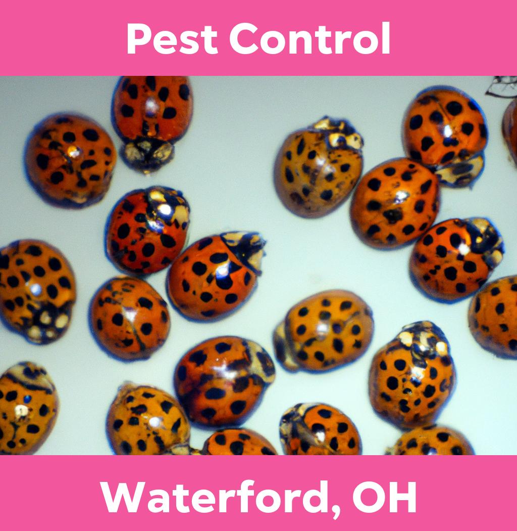pest control in Waterford Ohio