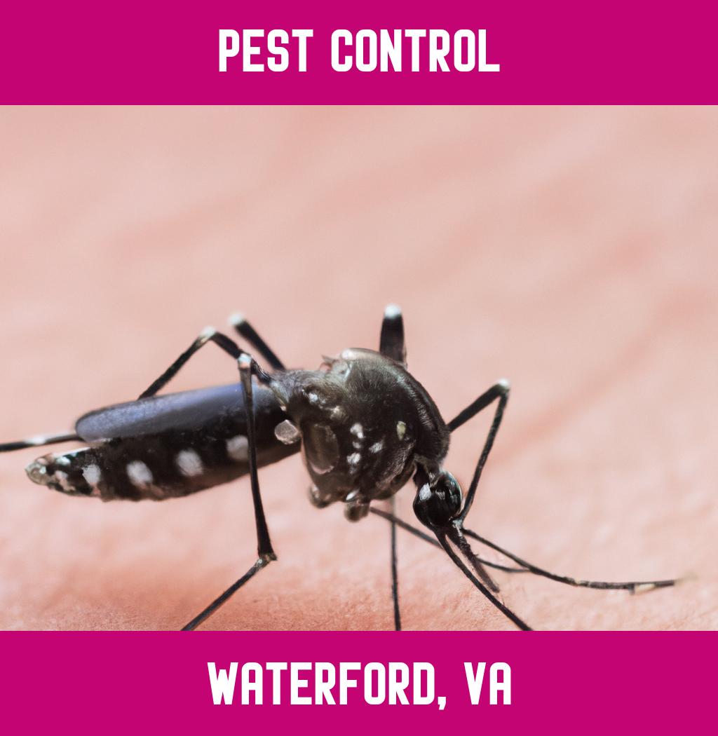 pest control in Waterford Virginia